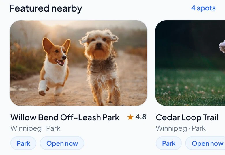 Pet Adventure screen